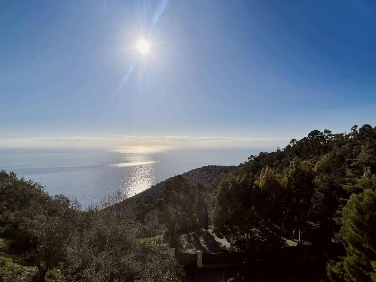 Magnifique 3 Pieces Vue Mer - Eze Appartement Buitenkant foto